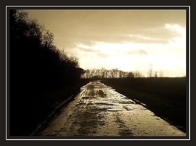 Rainy road in the sunset