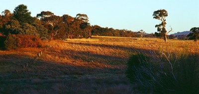 Heathcote - Late Afternoon