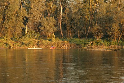 Fall near the river V