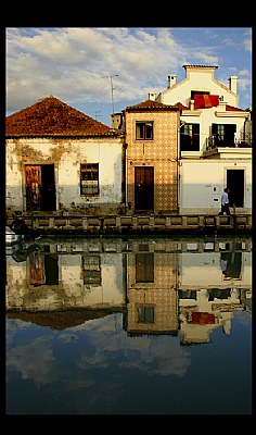 Reflected city