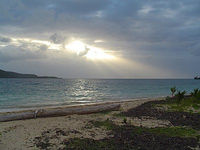 Tropical Park Bench