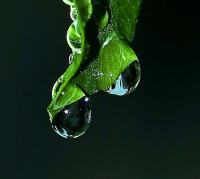 Drops