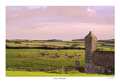 Hills in Kinsale