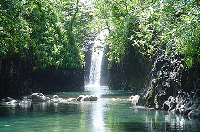 Fiji Falls