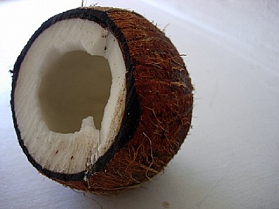 Coconut on display