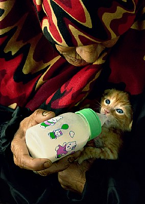 baby bottle