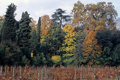 autunno in Vallebuia 3