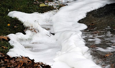 foamy shores