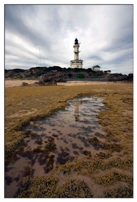 Pt Lonsdale beach_ low tide #1