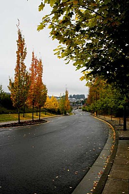 autumn color street