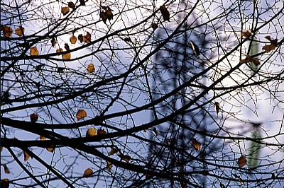 autunno in Vallebuia 7