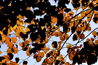 autunno in Vallebuia 8