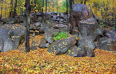 Autumn on the Rocks