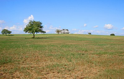 Pastoral Digs