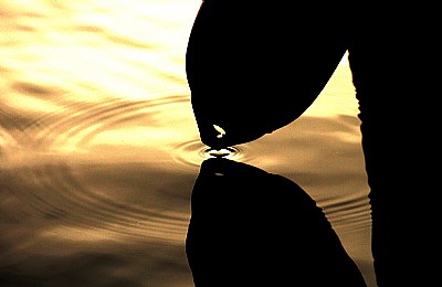 Narciso's kiss