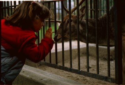 Gentle Curiosity