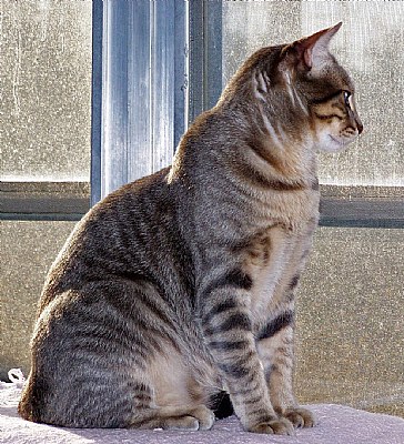 Can I go outside.....Please?