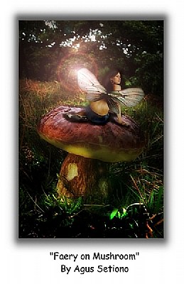 Fairy on Mushroom