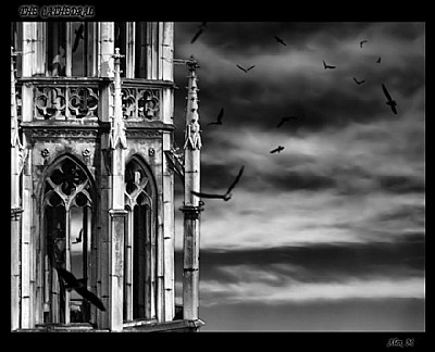 The Black&White Cathedral
