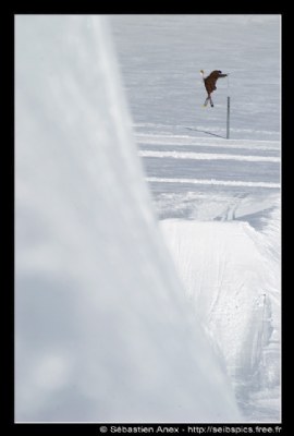 Flying