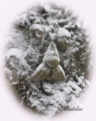 Face In The Snow