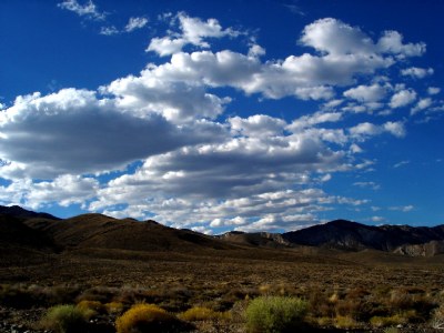 High Desert Daydream