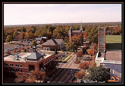 Carolina Autumn