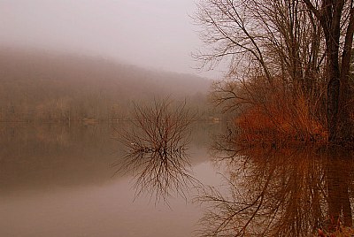 In the Autumn Mist