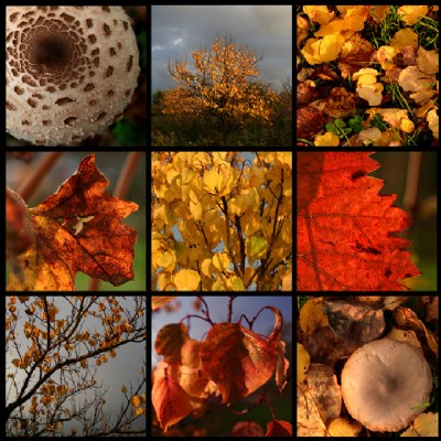 united colors of autumn