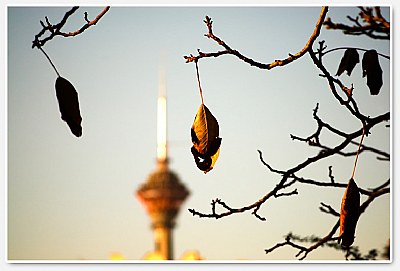 Autumn in Tehran