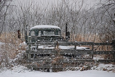 snowy farm day - IV