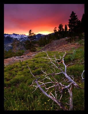 Sierra Sunset 3