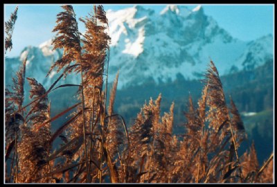 Talking to the mountain