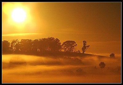 From the Bedroom Window 3