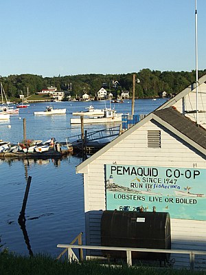 Pemaquid Co-op