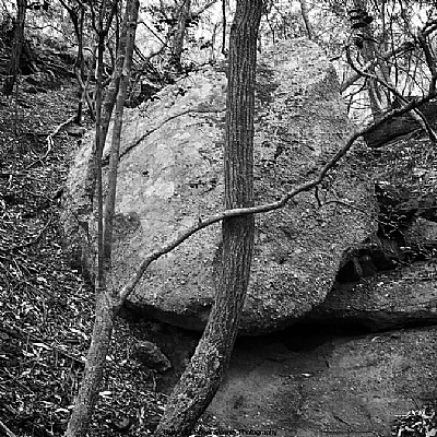 Landscape V Suspended Rock