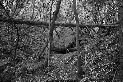 Landscape VII Suspended Rock and Trap