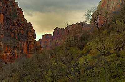 somewhere in Zion National Park Utah