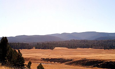 The Foot Bridge