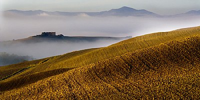 terra toscana #2