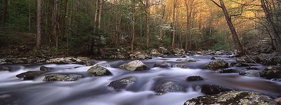 The Great Smoky Mountains