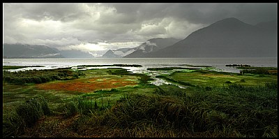 Skeena River