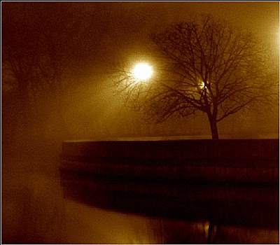 ..Night of a rain and fog...