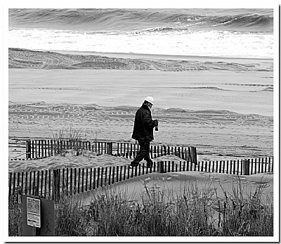 Lunch On The Beach - B&W