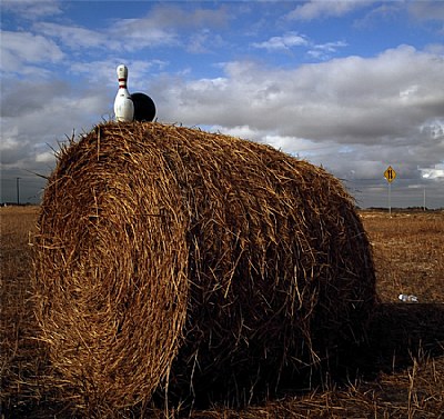 Hay Seeds