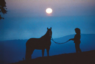 Horse & Woman Silhouette