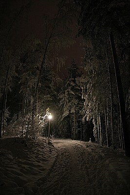 Night winter road