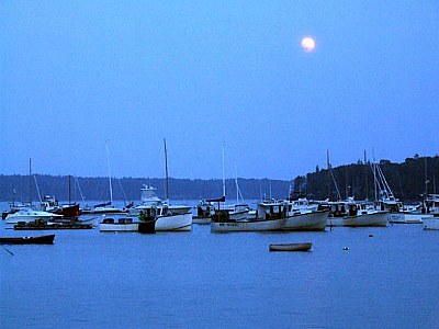 Moonlight on the Harbor