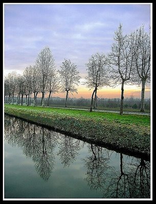 Riflessi nel fiume