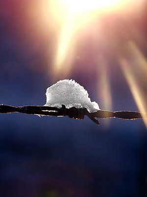 A bow of snow